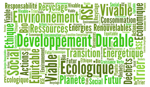 Sustainable development word cloud in French language Sustainable development word cloud in French language rse stock illustrations