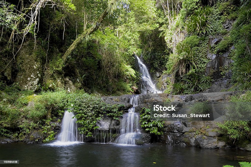 Foresta pluviale cascata. - Foto stock royalty-free di Acqua