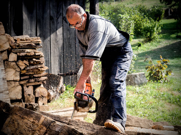 istock Man is sawing a log with a chainsaw, carpentry 1159845472