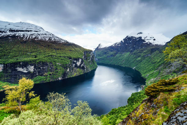 istock Fjord in Norway 1159845589