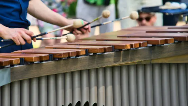 Photo of Musician playing on a marimba, an instrument from the group of xylophones