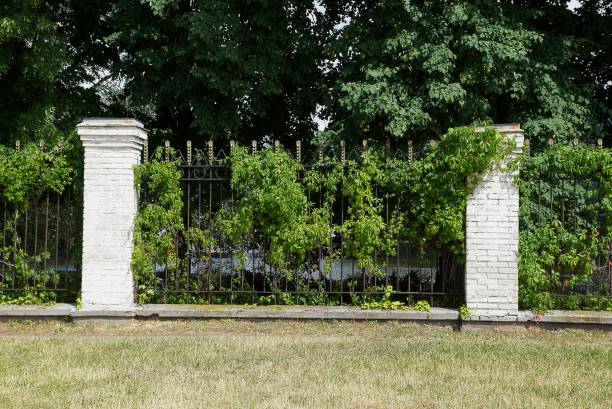 istock fence of iron rods and bricks overgrown green vegetation 1159847066