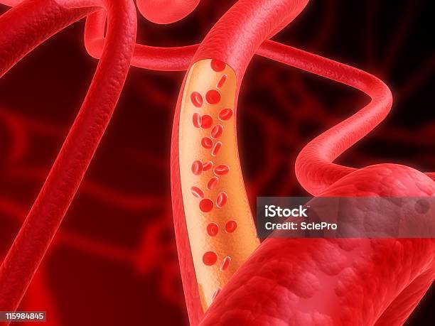 Transmissão Em Fluxo De Sangue - Fotografias de stock e mais imagens de Arteríola - Arteríola, Artéria Humana, Capilar - Vaso sanguíneo