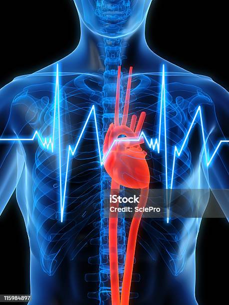Foto de Heartbeat e mais fotos de stock de Anatomia - Anatomia, Estresse emocional, Fisiologia