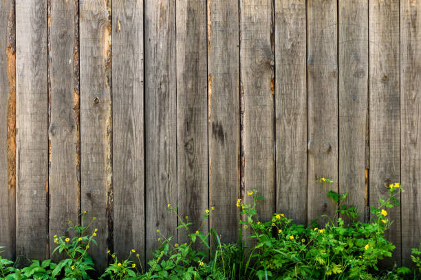 istock Spring green grass over wood fence background 1159850122