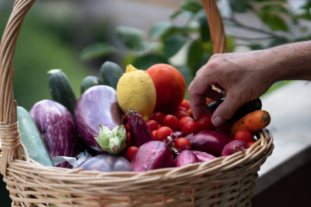 istock Fresh and ripe farm vegetables 1159851447
