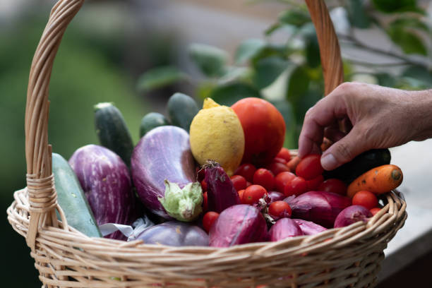 istock Fresh and ripe farm vegetables 1159851452