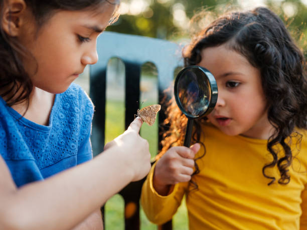 bambina con la sorella che osserva una farfalla - children only adventure exploration education foto e immagini stock