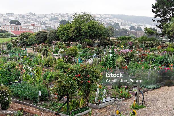 Gráficos Al Jardín Foto de stock y más banco de imágenes de Aire libre - Aire libre, Belleza, Belleza de la naturaleza