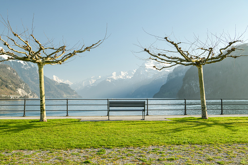 Two trees and bench in small park in Brunnen, Switzerland at the shores of Lake Lucerne with beautiful Alpine views in background