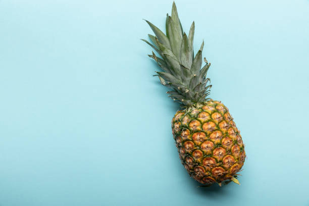 istock top view of whole ripe tropical pineapple on blue background with copy space 1159856080