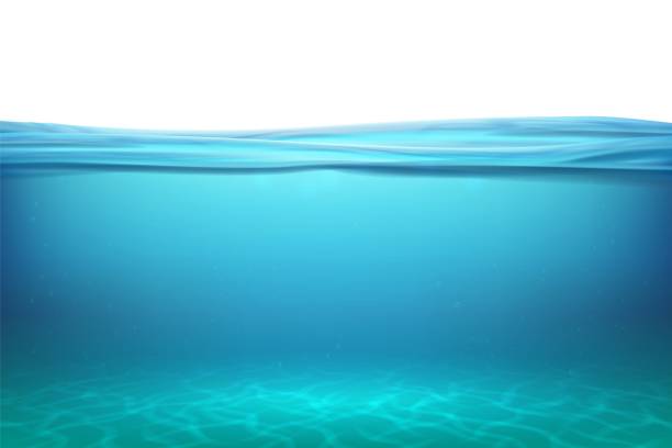 jezioro podwodne powierzchnie. zrelaksuj niebieskie tło horyzontu pod powierzchnią morza, czysty naturalny widok na dno z promieniami słonecznymi. ilustracja wektorowa - underwater scenic stock illustrations