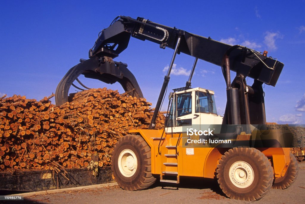 LKW Transport truncks - Lizenzfrei Abholzung Stock-Foto