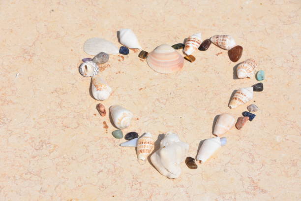 istock Heart made of sea shells and pebbles 1159858096
