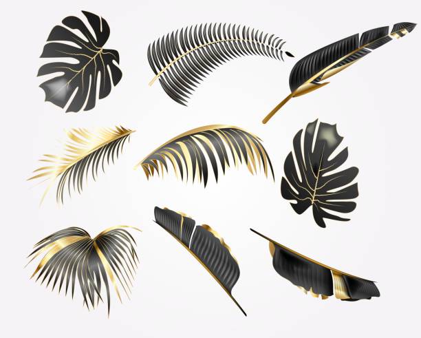 istock Realistic vector illustration set of tropical gold and black leaves isolated on white background. Botanical elements for cosmetics, spa, beauty care products 1159858584