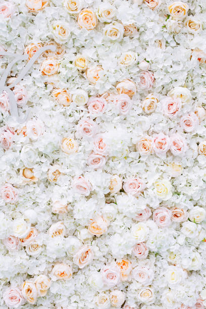 istock Flowers wall background with white and light orange roses. 1159859762