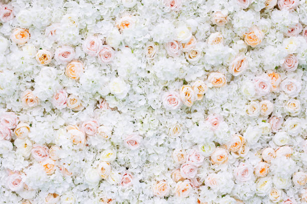 istock Flowers wall background with white and light orange roses. 1159859812