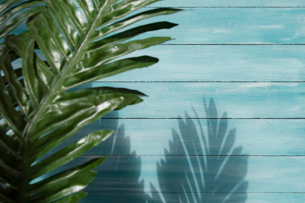 istock Palm leaves shadow and wood plank wall texture background 1159862388