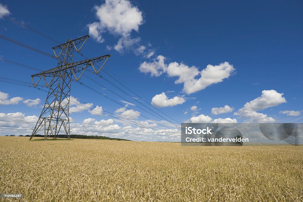 Power über Weizen - Lizenzfrei Elektrizität Stock-Foto