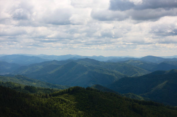 View from highest place in Lviv's region - mountain Parashka or Paraska with a clear far view and cloudy sky. Green meadows and dark green fir trees forest