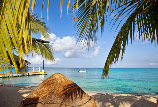 istock Cruise Ships in port 1159865462