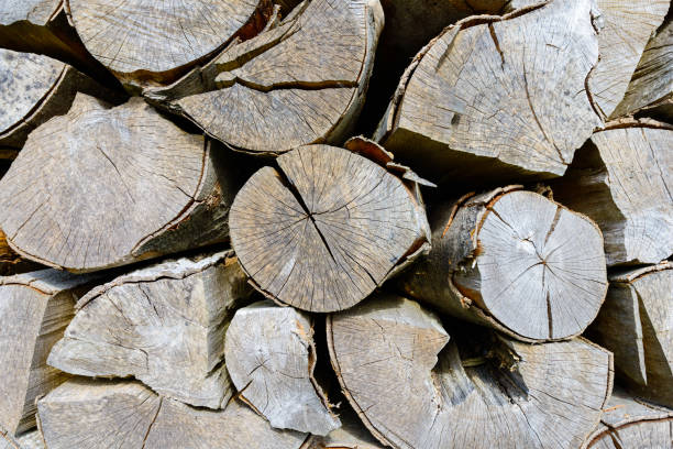 Wall of stacked wood logs as background - high resolution image