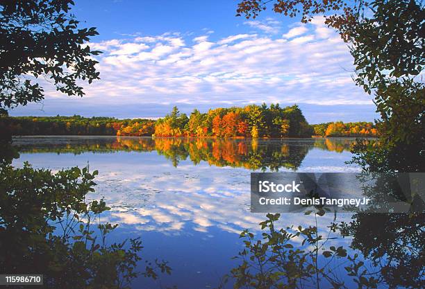 Otoño Vista Panorámica Foto de stock y más banco de imágenes de Aire libre - Aire libre, Belleza de la naturaleza, Caer