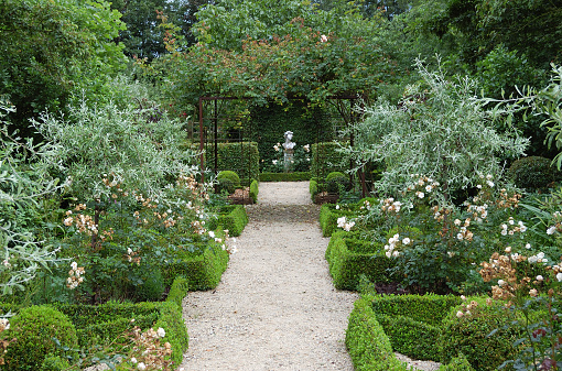 Landscaped garden with buxus,white roses, hornbeam hedges,pergola and garden ornament.