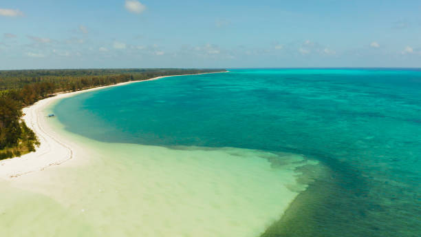 istock Tropical island with sandy beach. Balabac, Palawan, Philippines 1159874148