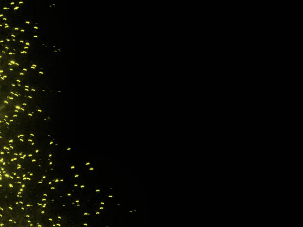 istock Abstract image of yellow paints on a black background 1159874265