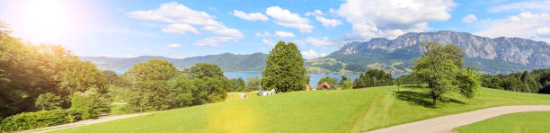 View to lake Attersee with alpine pasture, Mountains of austrian alps near Salzburg, Austria Europe View to lake Attersee with alpine pasture, Mountains of austrian alps near Salzburg, Austria Europe attersee stock pictures, royalty-free photos & images