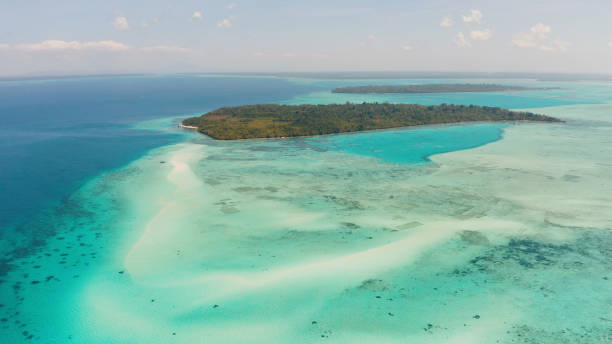 istock Sandy beach in the lagoon with turquoise water. Balabac, Palawan, Philippines 1159875464