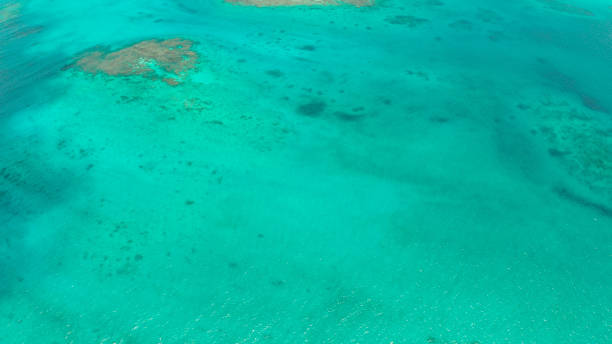 istock Transparent blue sea water in the lagoon 1159877023