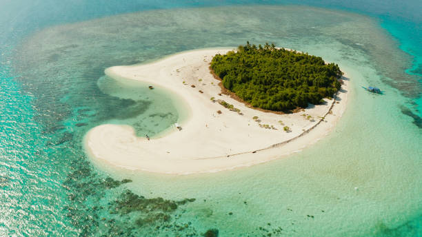 istock Tropical island with sandy beach. Balabac, Palawan, Philippines 1159878511