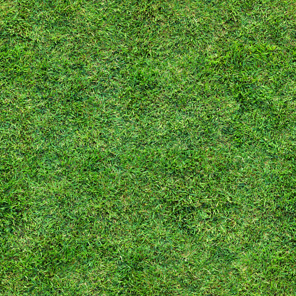 Looking down on a lush grass lawn. This texture repeats seamlessly both horizontally and vertically.