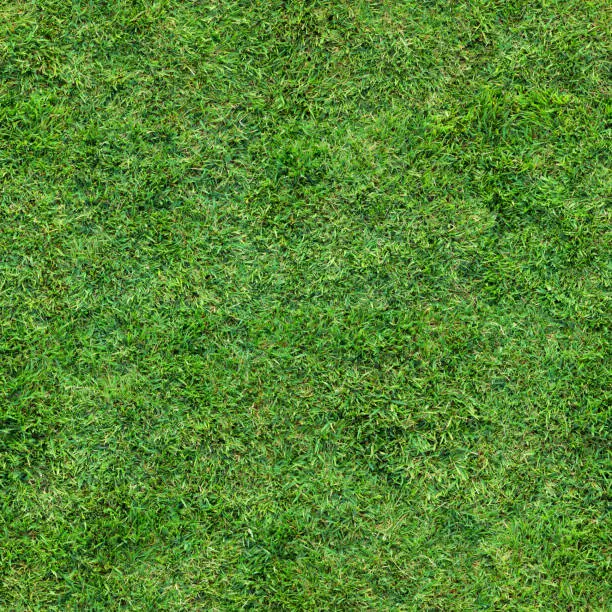 Photo of Seamless Turf Grass Repeating Lawn Texture