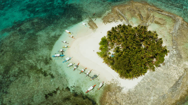 istock Tropical Daco Island with a sandy beach and tourists 1159879270