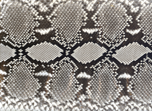 Snake skin dyed black and white. Some of the original browns show through at 100%.