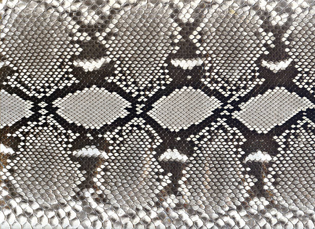 wąż skóry czarny i biały wzór - snakeskin snake animal skin pattern zdjęcia i obrazy z banku zdjęć