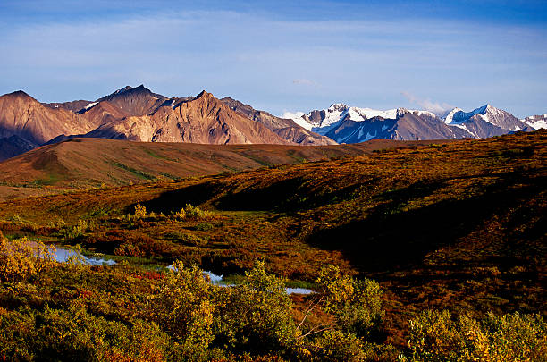 mountainous landscape mountainous landscape in Denali nationalpark barron gorge national park stock pictures, royalty-free photos & images
