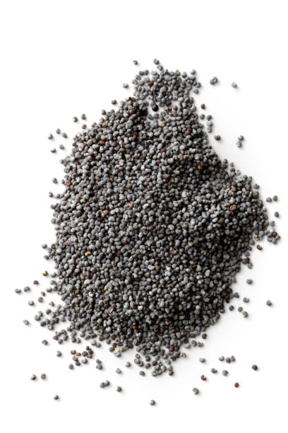Grains: Poppy Seeds Isolated on White Background