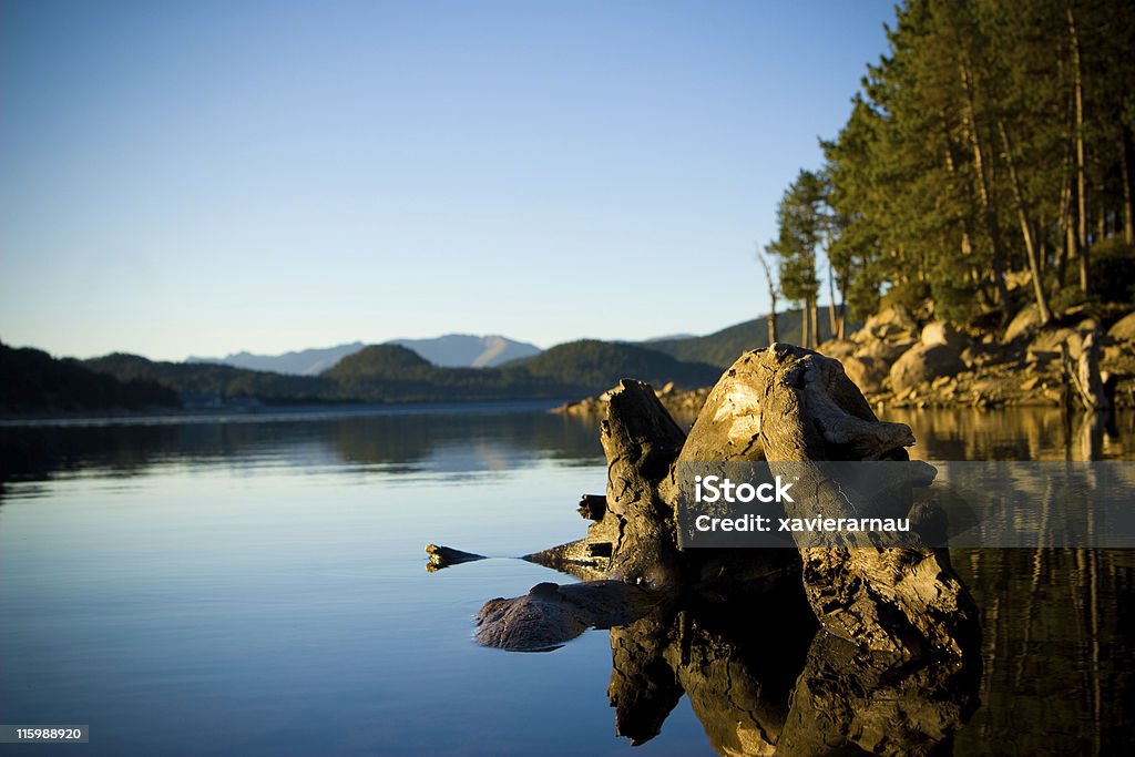 Calma - Foto de stock de Agua libre de derechos