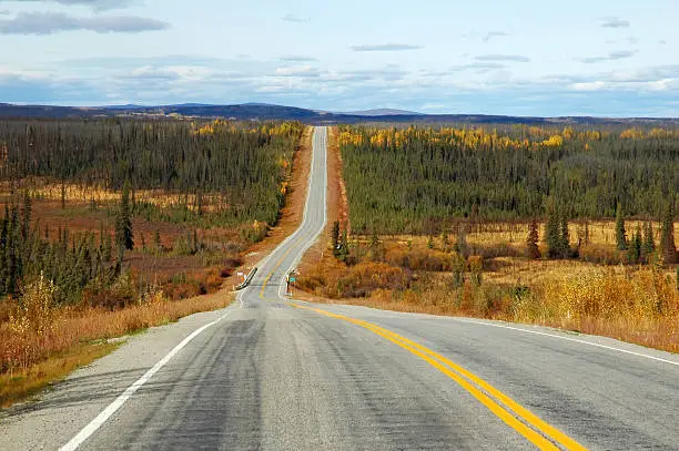 Landscape with fall colors along the Alaska Highway near Whitehorse ,Yukon Territory.,Canada.