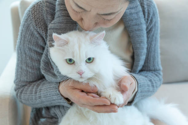 istock Senior to kiss the cat 1159890110