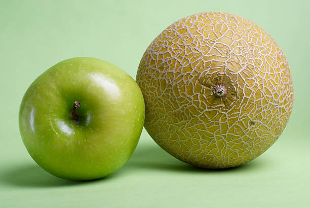 Melon et apple - Photo