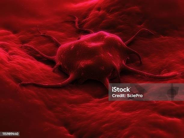 Cellula Cancerogena - Fotografie stock e altre immagini di Addome - Addome, Anatomia umana, Biologia