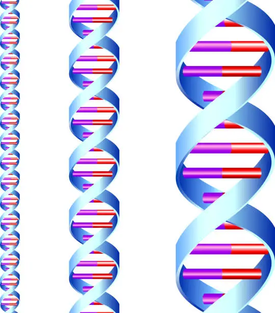 Vector illustration of DNA strand