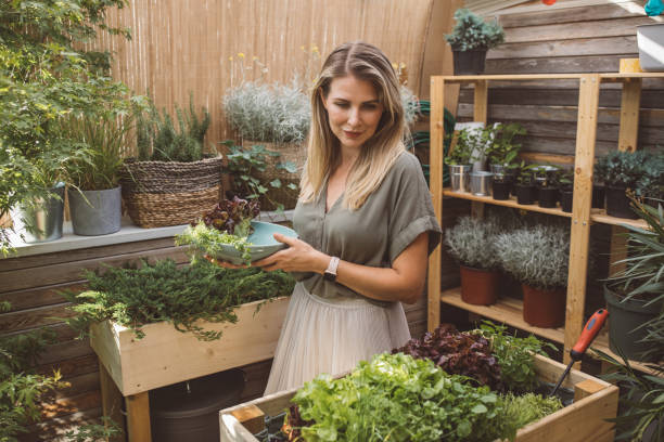 istock Nice and fresh veggies from home garden 1159900398