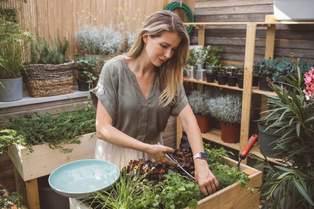 istock Nice and fresh veggies from home garden 1159900406