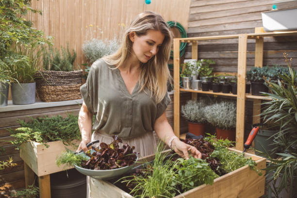 istock Nice and fresh veggies from home garden 1159900407